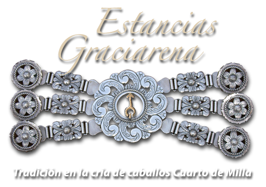 Estancias Graciarena